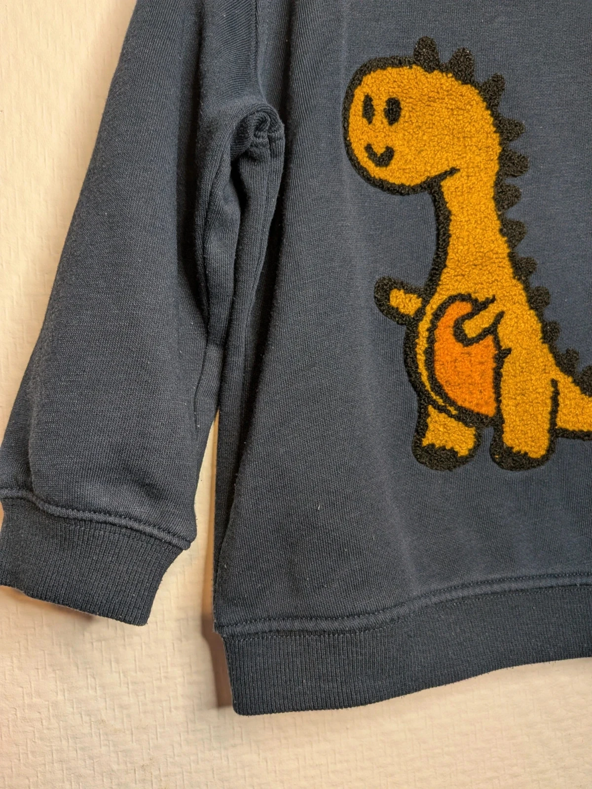 Sudadera dinosaurio – photo 4